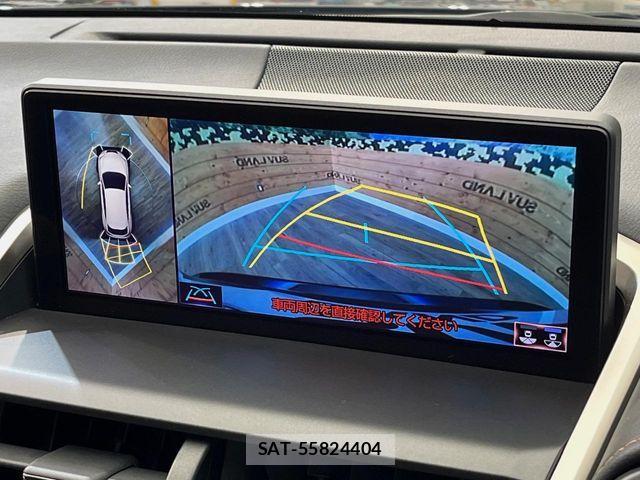 Lexus NX 2020-06 7328052-4