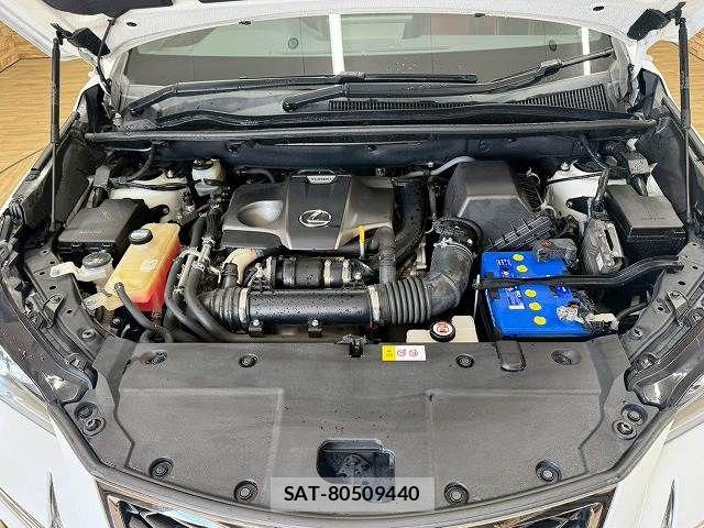 Lexus NX 2018-03 7501290-17