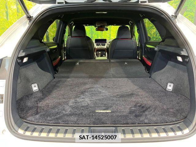 Lexus NX 2019-06 7725116-10