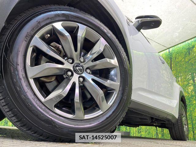 Lexus NX 2019-06 7725116-12