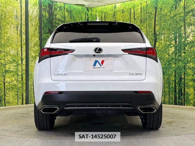 Lexus NX 2019-06 7725116-14