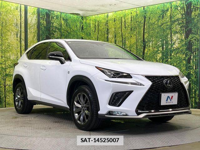 Lexus NX 2019-06 7725116-15