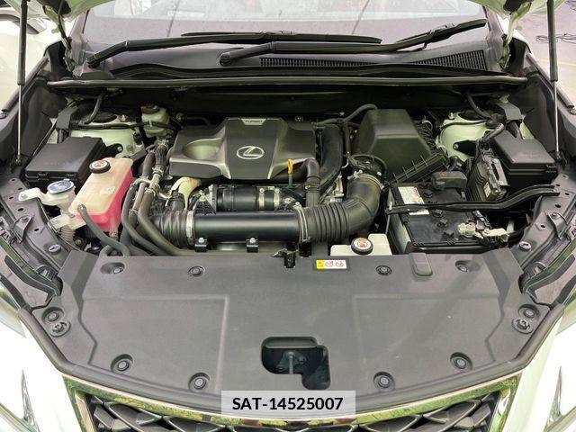 Lexus NX 2019-06 7725116-17
