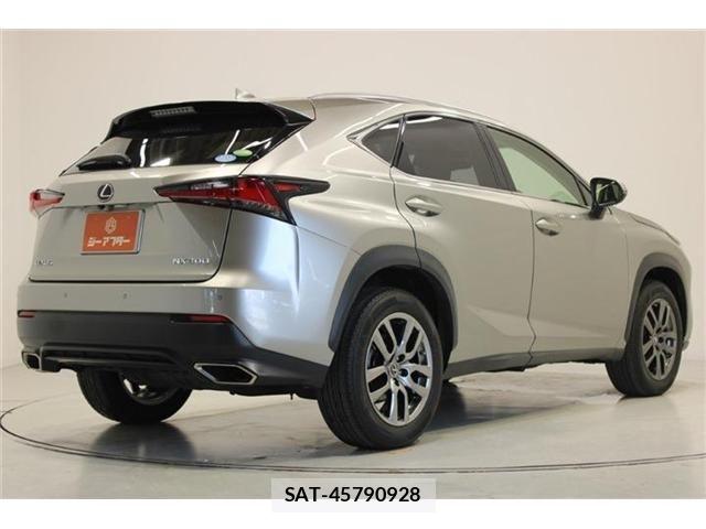 Lexus NX 2018-04 7877394-11