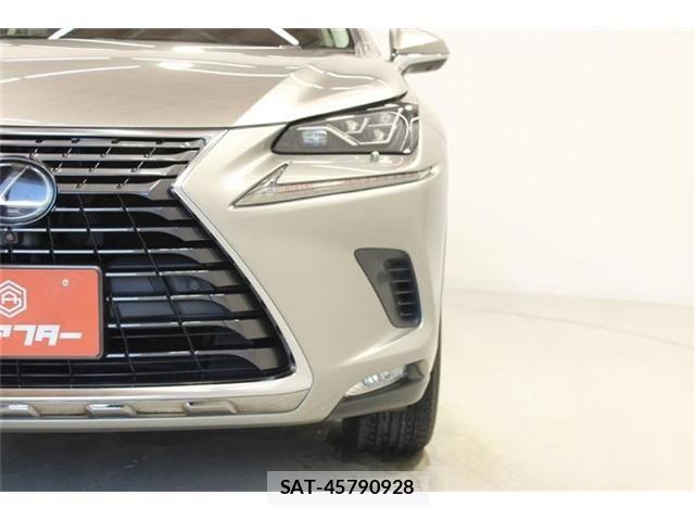 Lexus NX 2018-04 7877394-13
