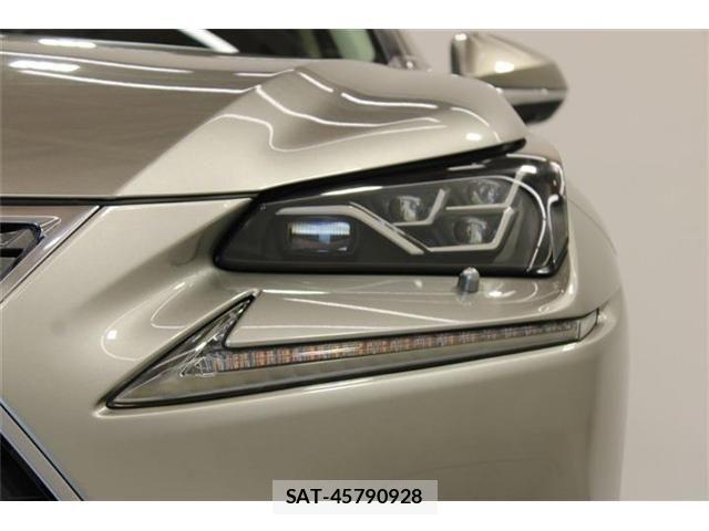 Lexus NX 2018-04 7877394-14