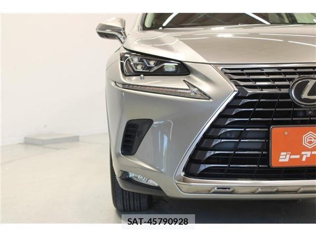 Lexus NX 2018-04 7877394-15