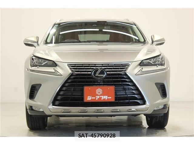 Lexus NX 2018-04 7877394-6
