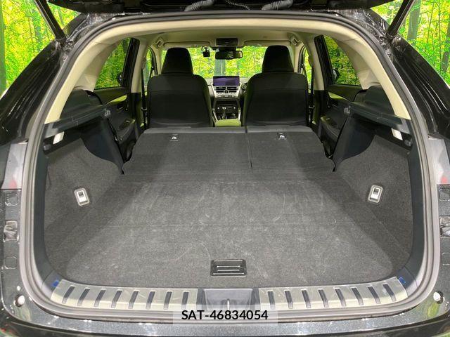 Lexus NX 2021-06 8074357-9