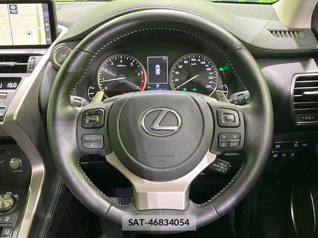 Lexus NX 2021-06 8074357-10