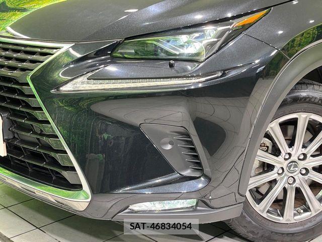 Lexus NX 2021-06 8074357-11
