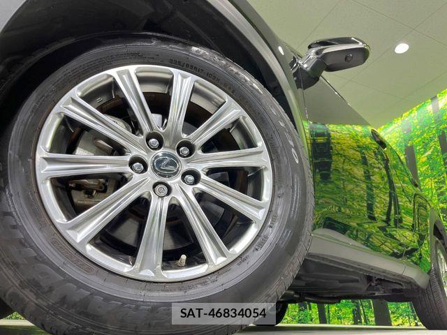 Lexus NX 2021-06 8074357-12