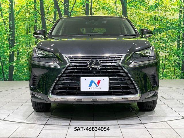 Lexus NX 2021-06 8074357-13