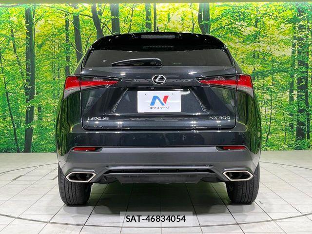 Lexus NX 2021-06 8074357-14