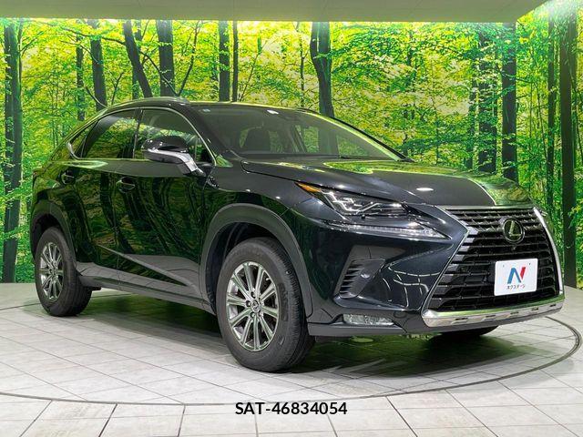 Lexus NX 2021-06 8074357-15