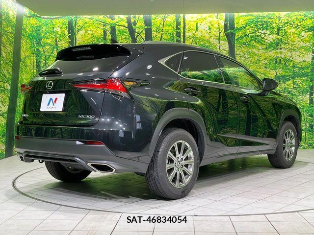 Lexus NX 2021-06 8074357-16