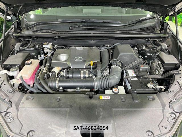 Lexus NX 2021-06 8074357-17