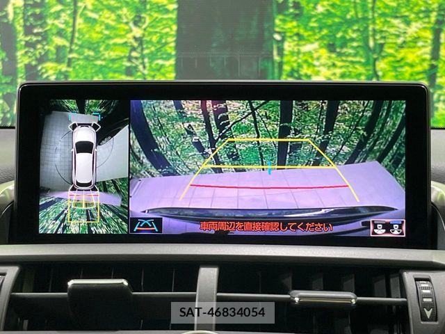 Lexus NX 2021-06 8074357-4