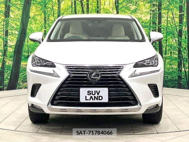 Lexus NX 2018-01 8158703-13