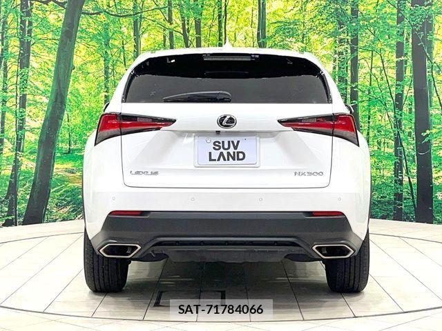 Lexus NX 2018-01 8158703-14