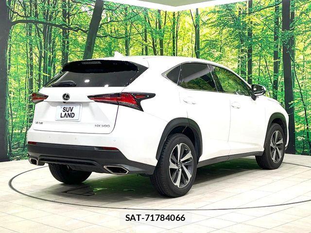 Lexus NX 2018-01 8158703-16