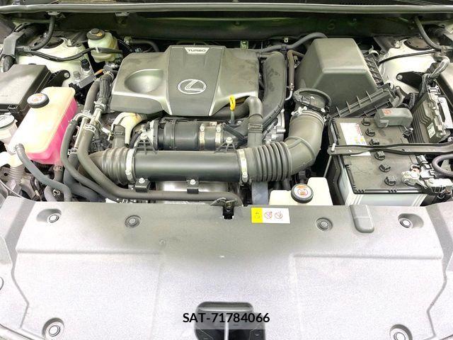 Lexus NX 2018-01 8158703-17
