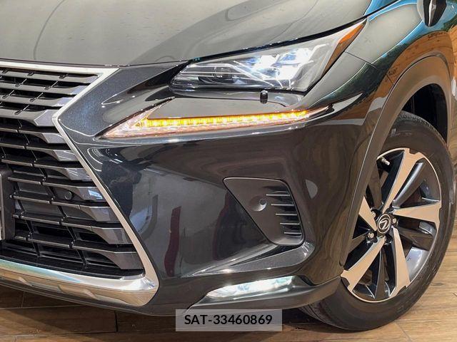 Lexus NX 2021-02 8208407-13
