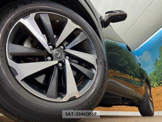 Lexus NX 2021-02 8208407-14