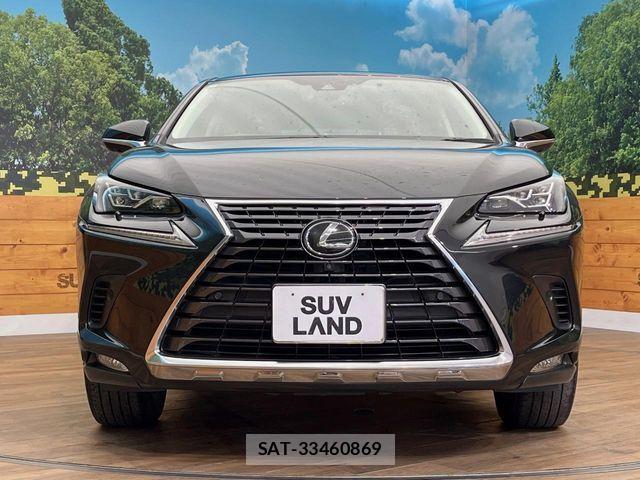 Lexus NX 2021-02 8208407-15