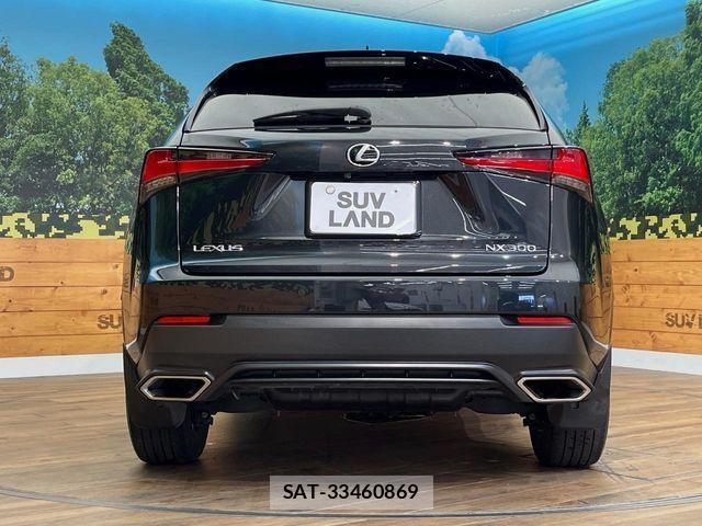 Lexus NX 2021-02 8208407-16