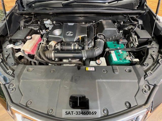 Lexus NX 2021-02 8208407-19