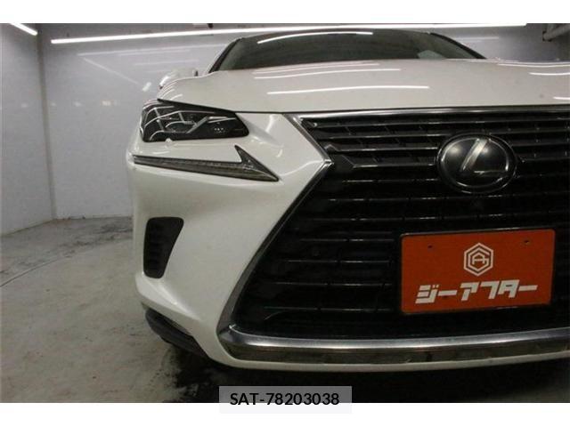 Lexus NX 2018-03 8659966-10