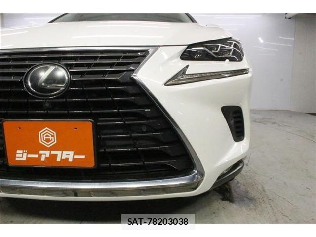 Lexus NX 2018-03 8659966-13
