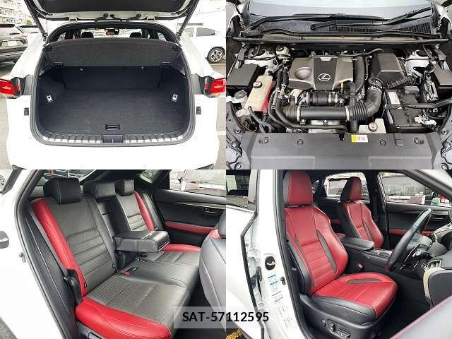Lexus NX 2018-03 8780863-7