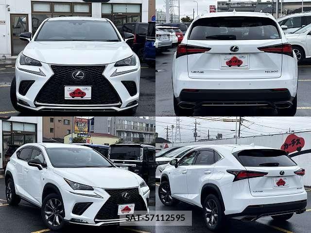Lexus NX 2018-03 8780863-8