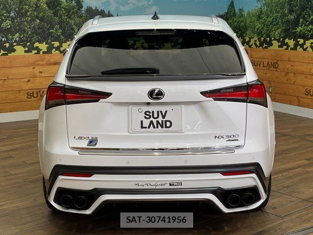 Lexus NX 2017-09 8796493-16