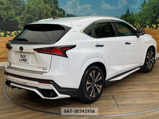 Lexus NX 2017-09 8796493-18