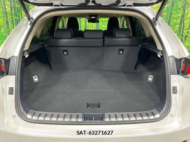 Lexus NX 2019-10 705393-11