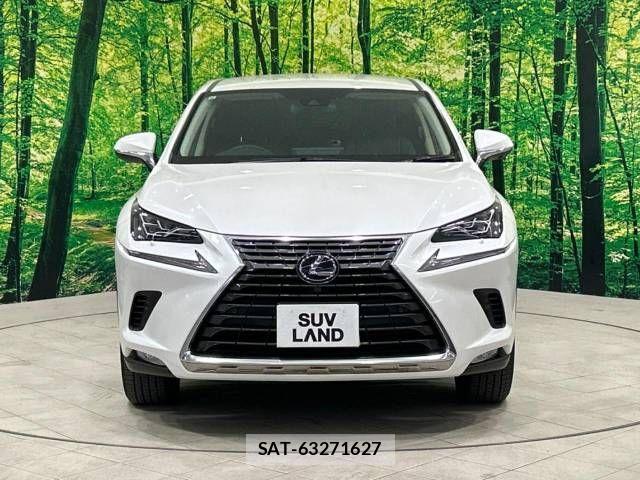 Lexus NX 2019-10 705393-15