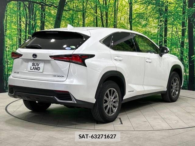 Lexus NX 2019-10 705393-18