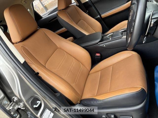 Lexus NX 2018-02 1067108-14