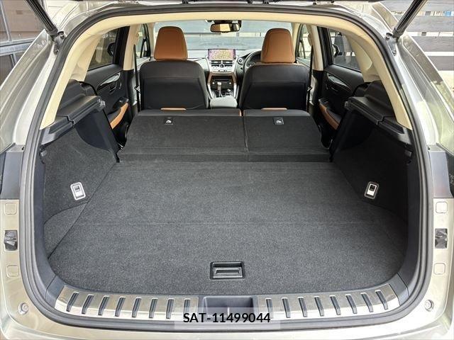 Lexus NX 2018-02 1067108-20