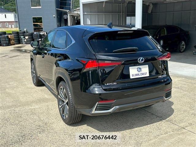 Lexus NX 2020-08 1286299-9
