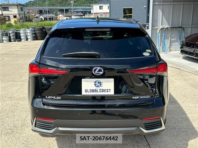 Lexus NX 2020-08 1286299-10