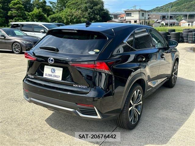 Lexus NX 2020-08 1286299-11