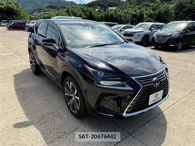 Lexus NX 2020-08 1286299-6