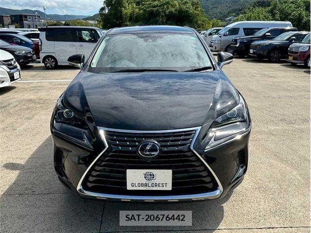 Lexus NX 2020-08 1286299-7
