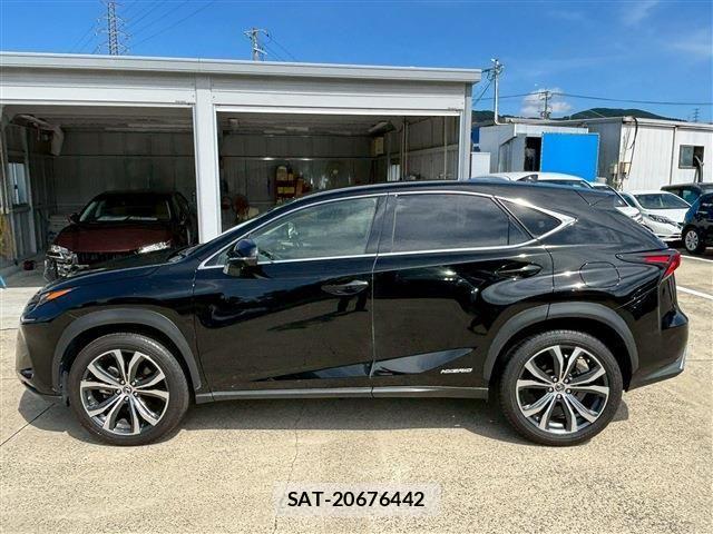 Lexus NX 2020-08 1286299-8