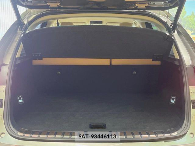 Lexus NX 2017-02 1331681-10