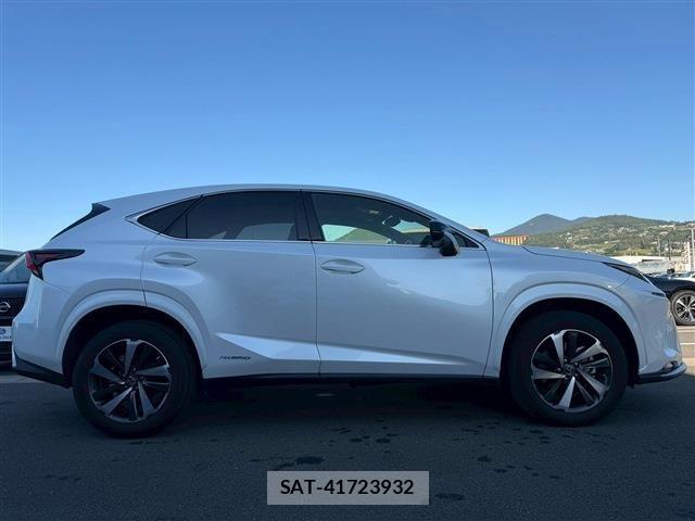 Lexus NX 2020-10 1374825-9